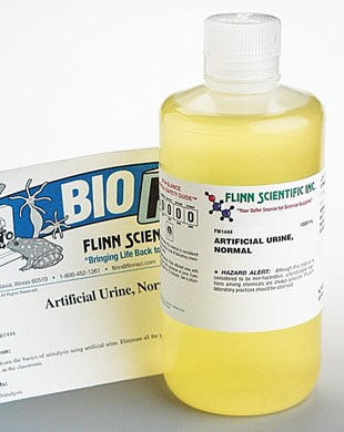 glucose test strips the world s best anatomical charts book
