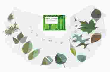 Leaf Identification Activity Kit for Biology and Life Science