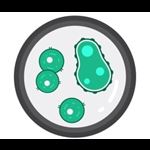 Microbiology