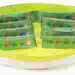 Chloroplasts 3-D Model Kit