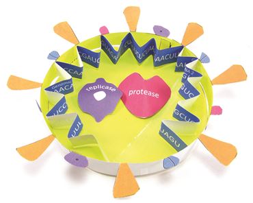 Coronavirus COVID-19 Structure 3-D Model Kit