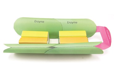 Enzymes—NewPath Science 3-D Model Kit