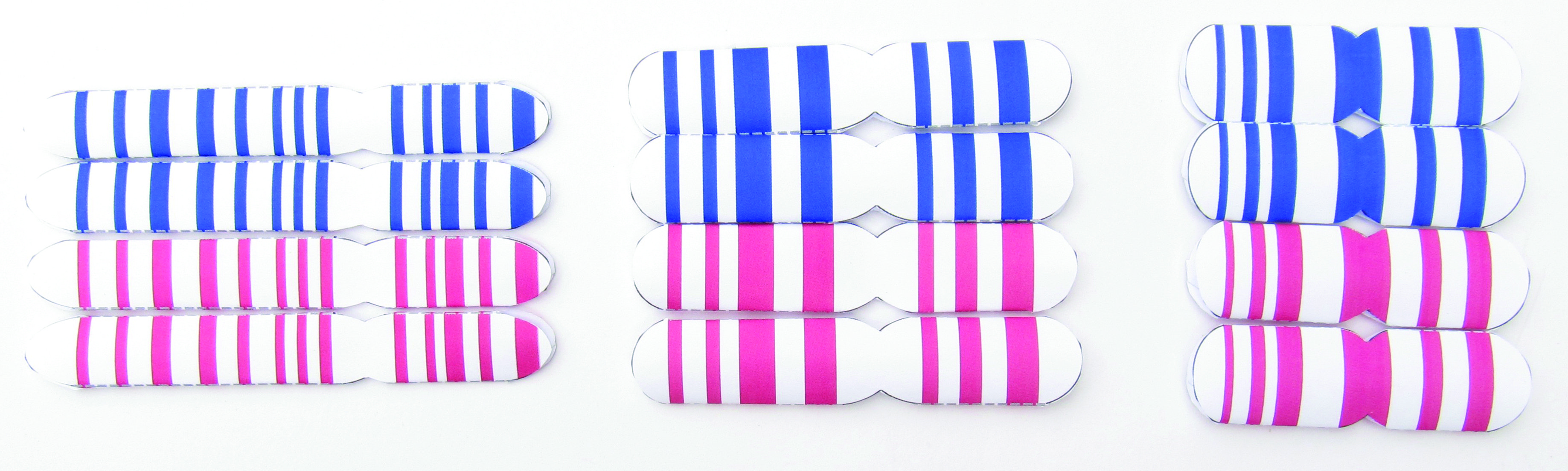 Mitosis & Meiosis—NewPath Science 3-D Model Kit