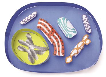 Simple Animal Cell—NewPath Science 3-D Model Kit