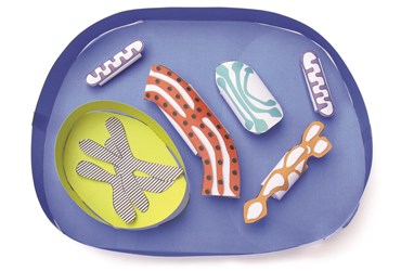 Simple Animal Cell—NewPath Science 3-D Model Kit