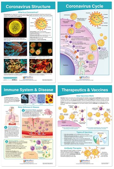 Coronavirus - Structure and Immunity Bulletin Board Chart Set of 4