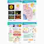 Coronavirus - Structure and Immunity Bulletin Board Chart Set of 4