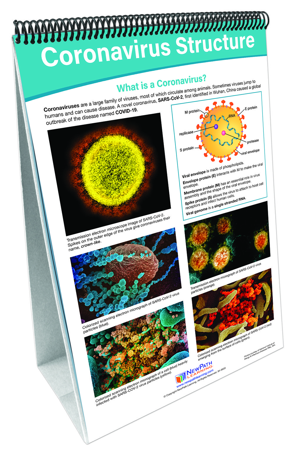 Coronavirus - Disease & Prevention Flip Chart Set