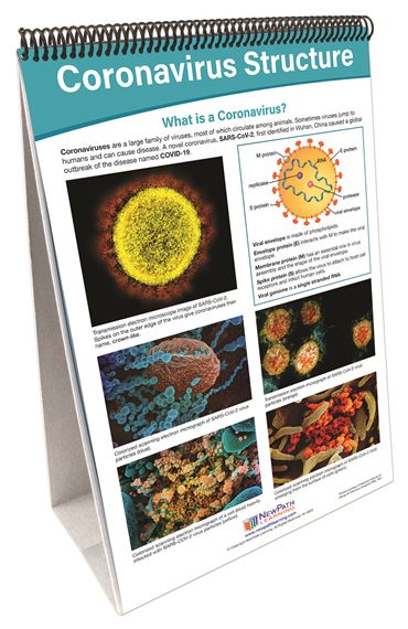 Coronavirus - Disease & Prevention Flip Chart Set