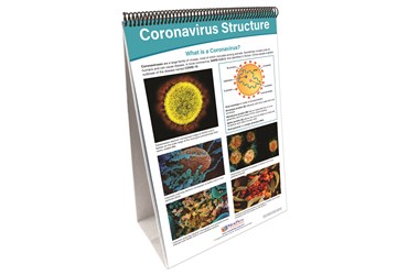 Coronavirus - Disease & Prevention Flip Chart Set