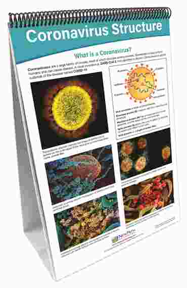 Coronavirus - Disease & Prevention Flip Chart Set