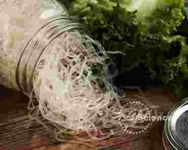 360Science™: Structures and Properties of Polymers