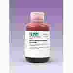 Aceto-Orcein Staining Solution 20 mL