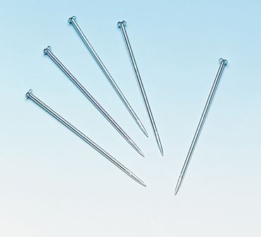 Straight Type Dissection Pins, 1-3/4"