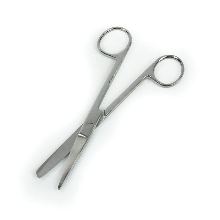 Scissors, Surgical, Sharp/Blunt Points, Curved Blades, 6.5