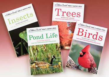 Birds Golden Guide Field Book