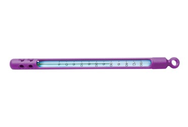 Armored Thermometer for Field Studies in Environmental Science