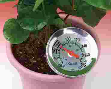 Soil Thermometer