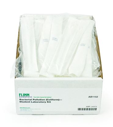 bacteria, bacterial, coliform, coliforms