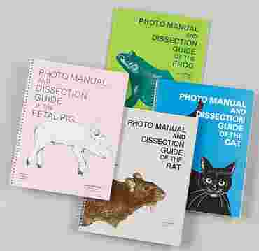 Cat Dissection Photo Guide for Biology and Life Science