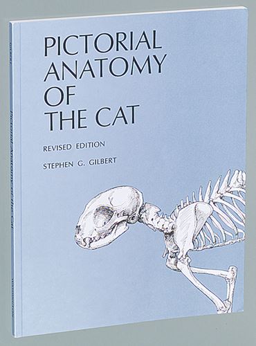 Pictorial Anatomy of the Cat Dissection Guide for Biology and Life Science