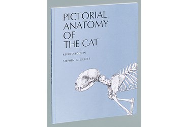 Pictorial Anatomy of the Cat Dissection Guide for Biology and Life Science