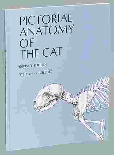 Pictorial Anatomy of the Cat Dissection Guide for Biology and Life Science