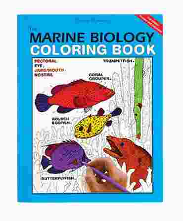 Anatomy Coloring Book for Biology and Life Science