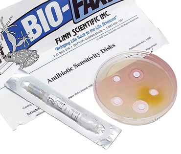 Chloramphenicol Antibiotic Sensitivity Disc for Microbiology Studies