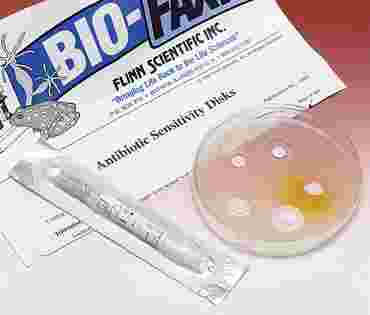 Chloramphenicol Antibiotic Sensitivity Disc for Microbiology Studies