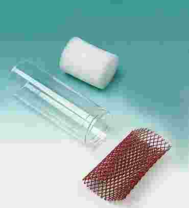 fruit flies, fruit fly, drosophilia