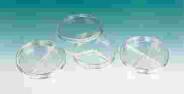 Sterile Petri Dish Divided into 2 Partitions