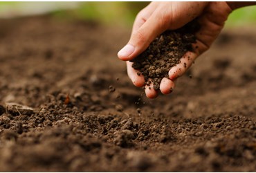 FlinnPREP Inquiry Labs for AP® Environmental Science: Discover Life in the Soil