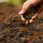 FlinnPREP Inquiry Labs for AP® Environmental Science: Discover Life in the Soil
