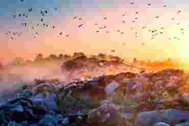 FlinnPREP Inquiry Labs for AP® Environmental Science: Landfill Decomposition