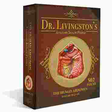 Dr. Livingston's Anatomy Puzzle – Abdomen