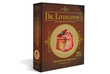 Dr. Livingston's Anatomy Puzzle – Abdomen