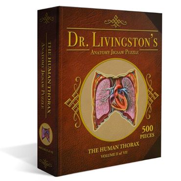 Dr. Livingston's Anatomy Puzzle – Abdomen