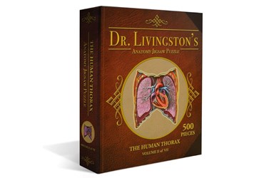 Dr. Livingston's Anatomy Puzzle – Abdomen