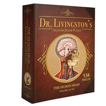 Dr. Livingston's Anatomy Puzzle – Abdomen