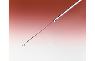 Inoculating Loop Platinum