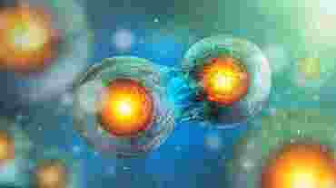 360 Science: Environmental Effects on Mitosis, 1-Year Access