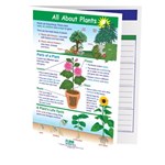 All About Plants—NewPath Visual Learning Guide
