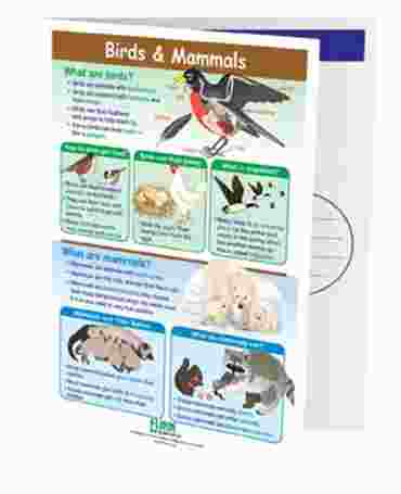 Birds & Mammals—NewPath Visual Learning Guide