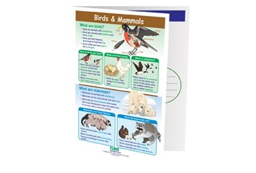 Birds & Mammals—NewPath Visual Learning Guide