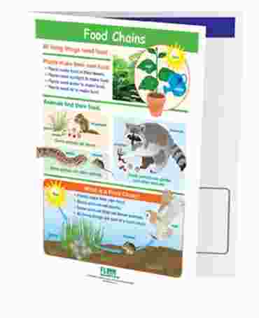 Food Chains—NewPath Visual Learning Guide