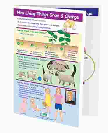 How Living Things Grow & Change—NewPath Visual Learning Guide