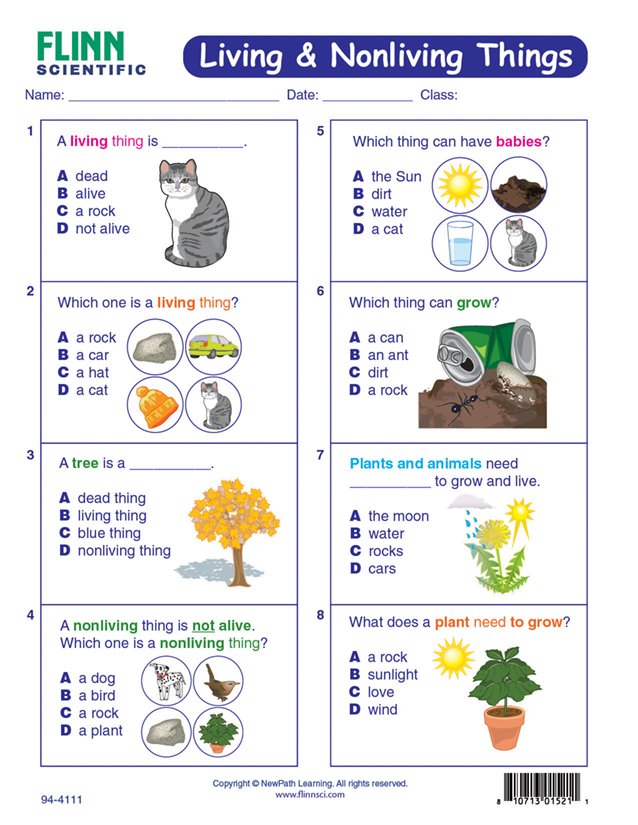 Living Nonliving Things Newpath Visual Learning Guide Flinn Scientific Living Nonliving Things Newpath Visual Learning Guide Flinn Scientific