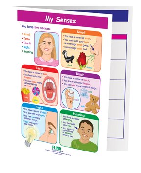My Senses—NewPath Visual Learning Guide