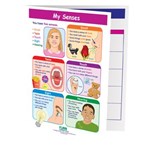 My Senses—NewPath Visual Learning Guide